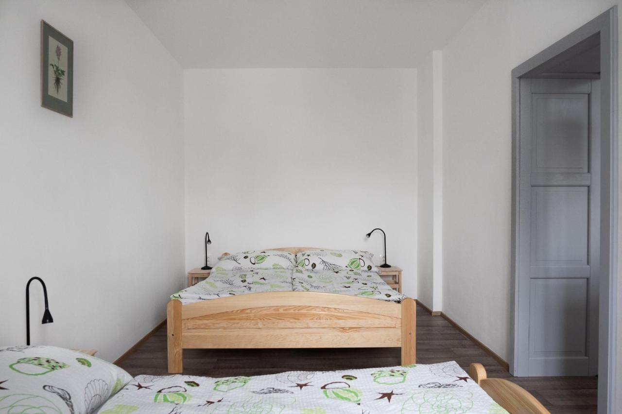 Apartmany16 Olesnice V Orlickych Horach Ngoại thất bức ảnh